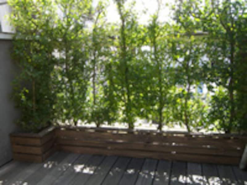 木製プランターの完成