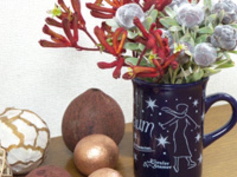 カンガルーポーのアレンジメント