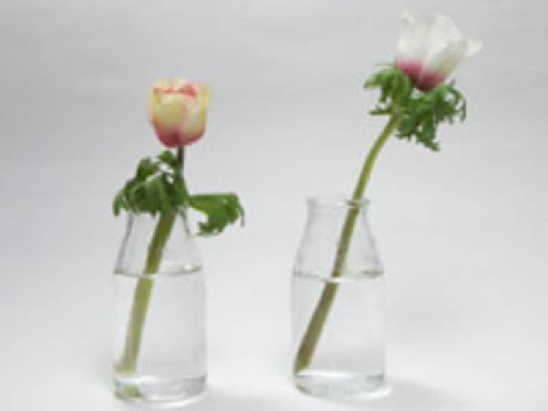 花瓶と花のバランス
