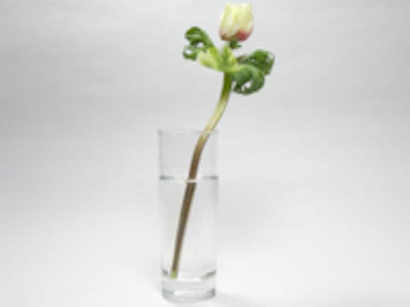 細い花器に活けてみた
