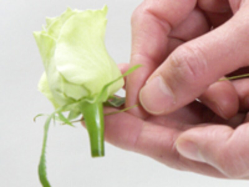 ガクにワイヤーを刺す