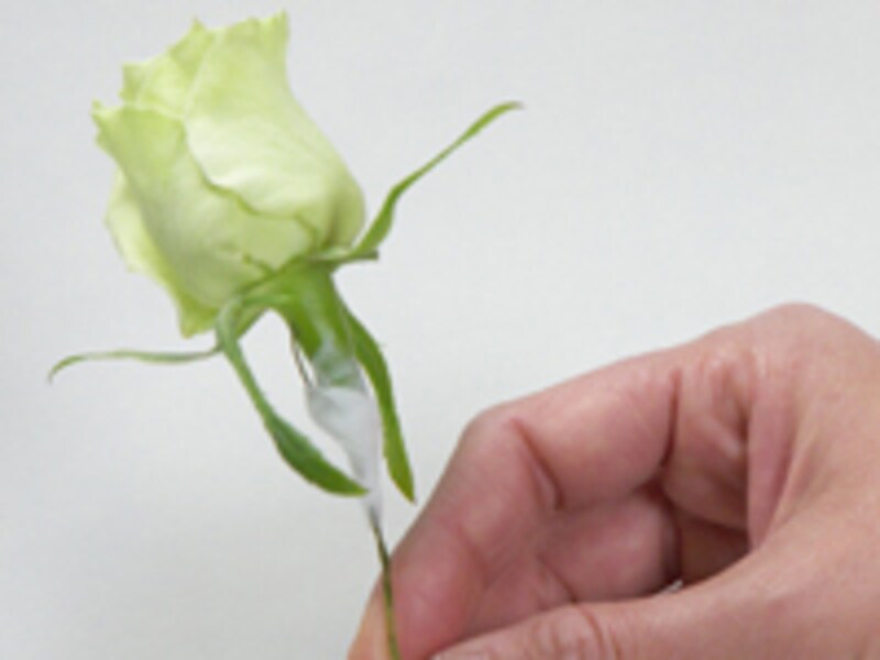 ティッシュペーパーを巻く