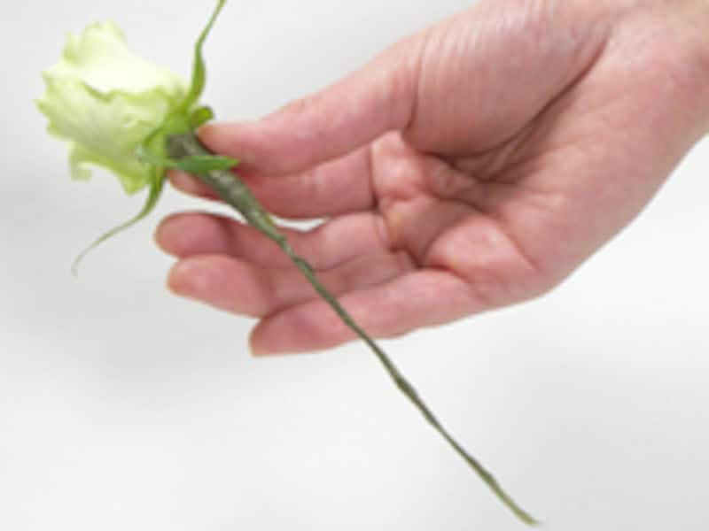 バラの下準備完成