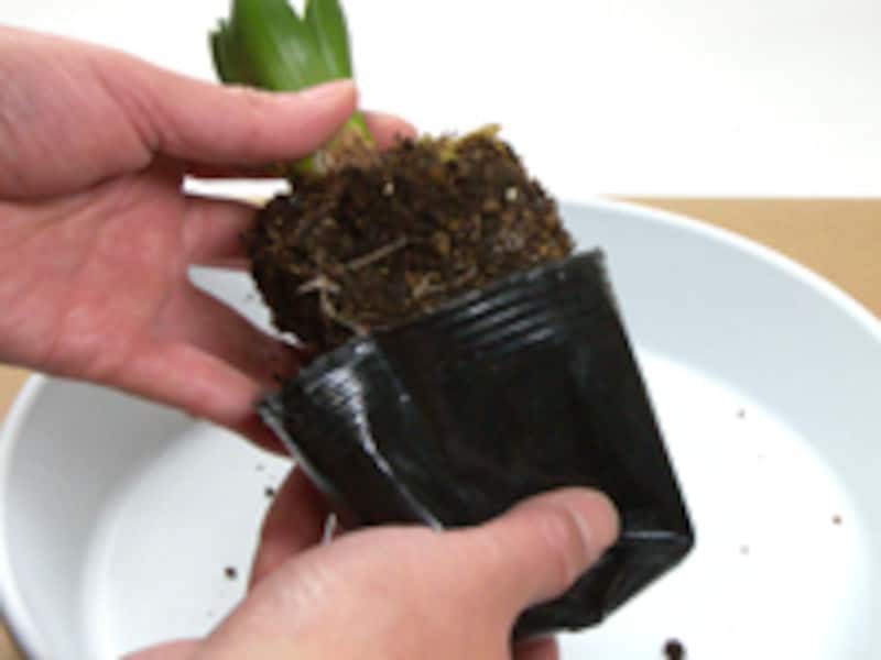 ポットをはずす