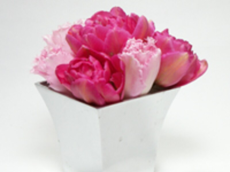 口の広い花器に活ける