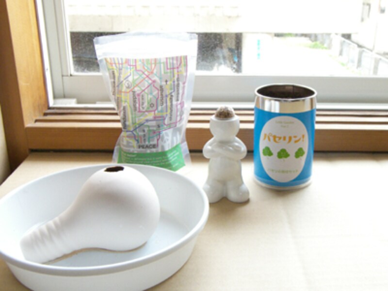 種をまき終えた栽培キット