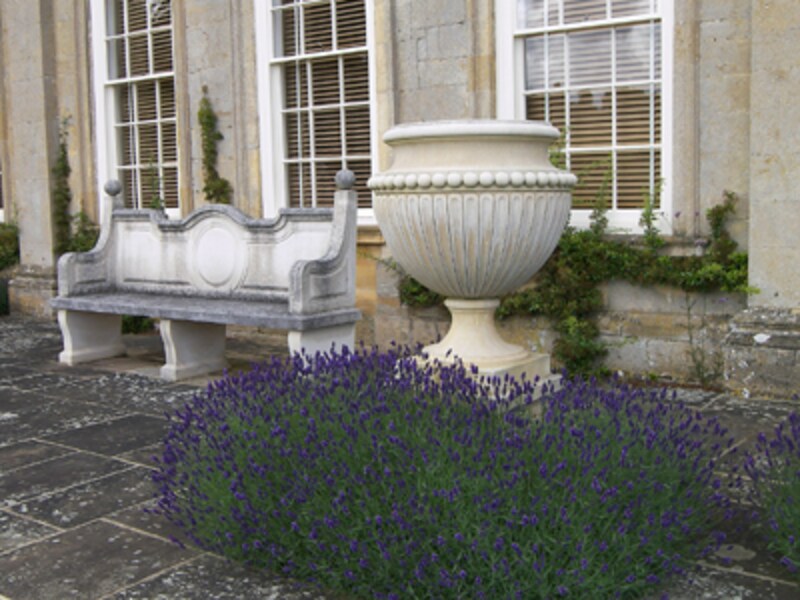 カップ型の鉢とラベンダー