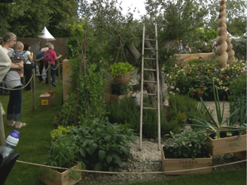 ワイン箱をつかった寄せ鉢