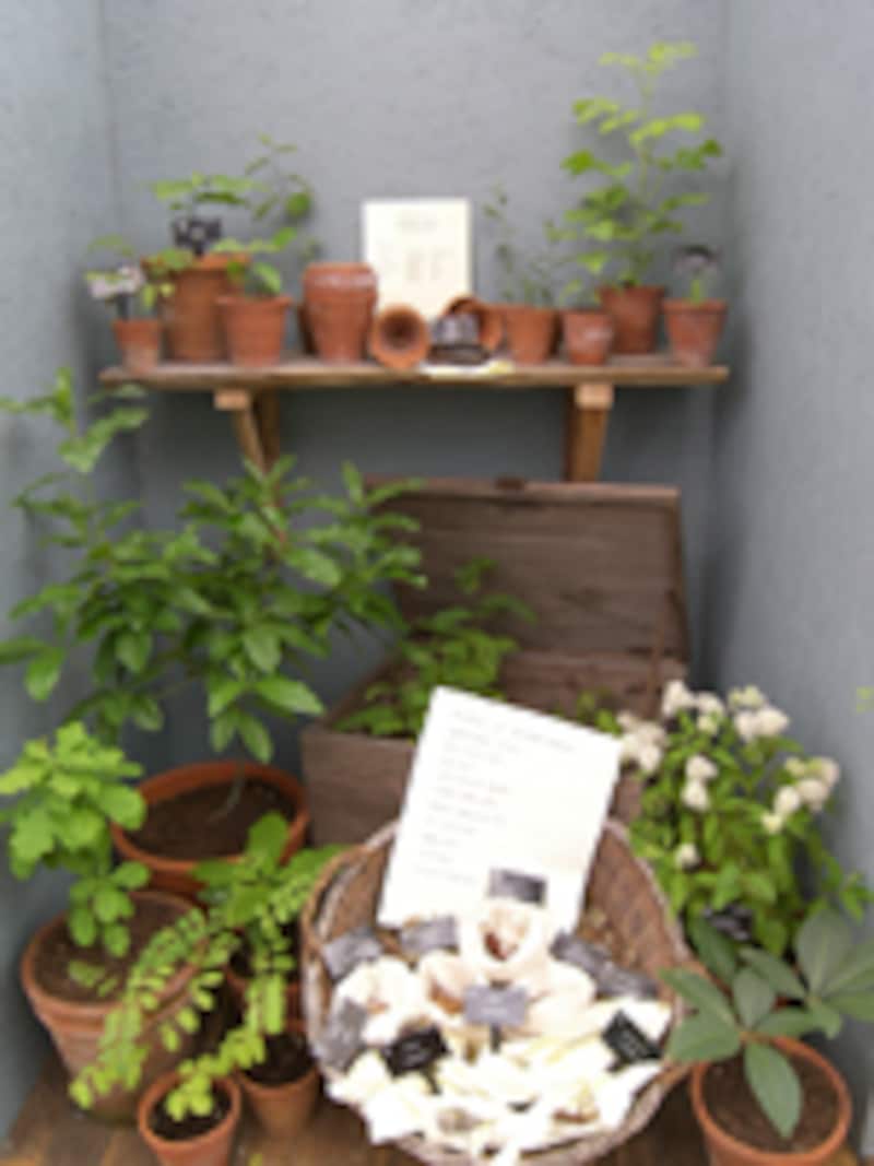 木箱やバスケットと合わせて