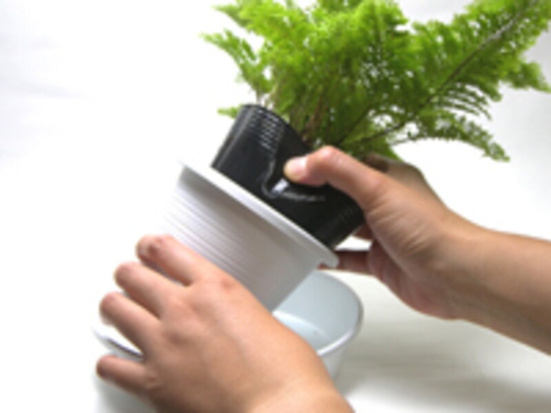 二重になっている植木鉢