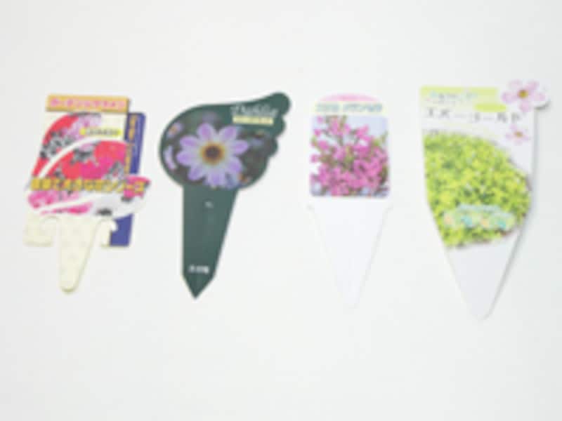 苗についているプランツタグ