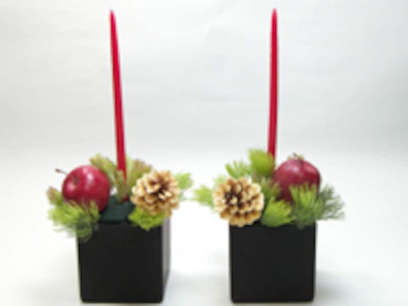 ウーリーブッシュを挿す