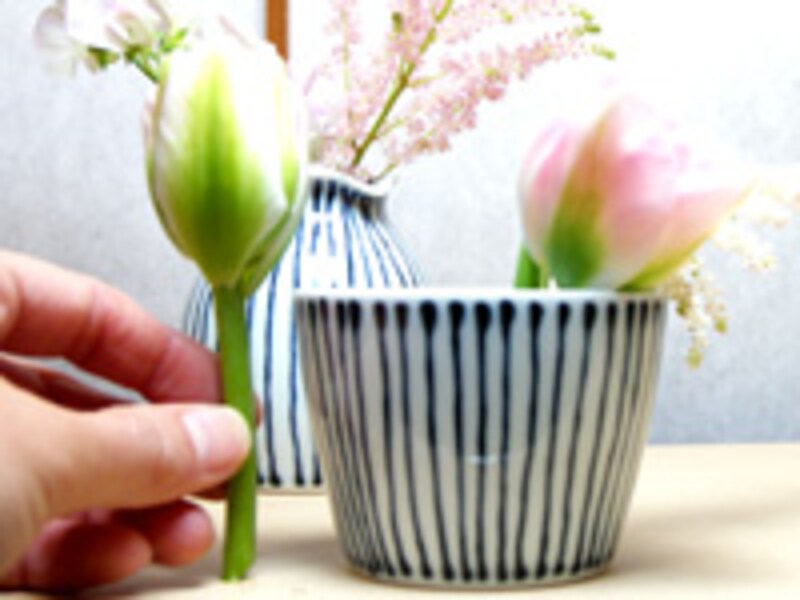 チューリップは短く