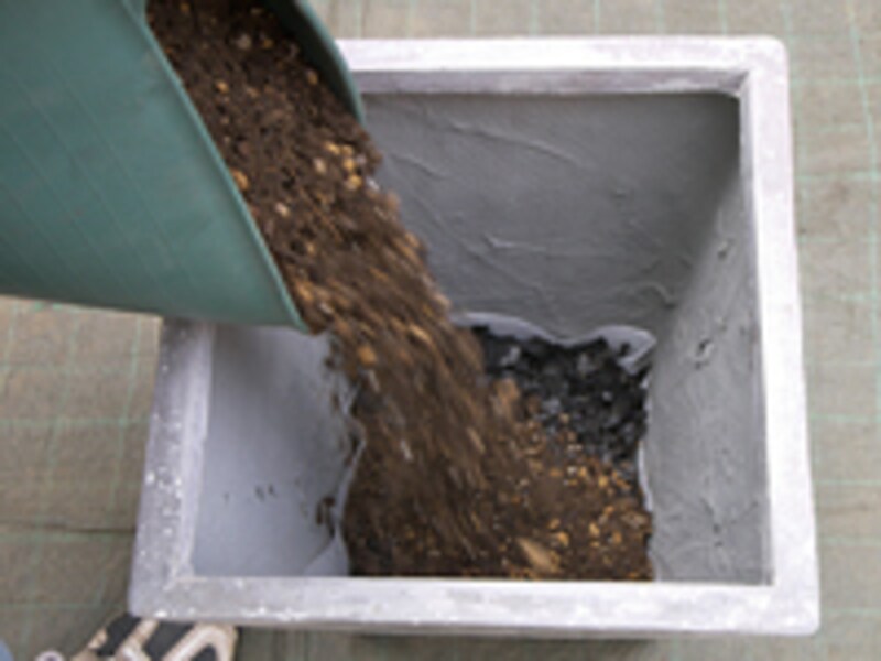 培養土を入れる