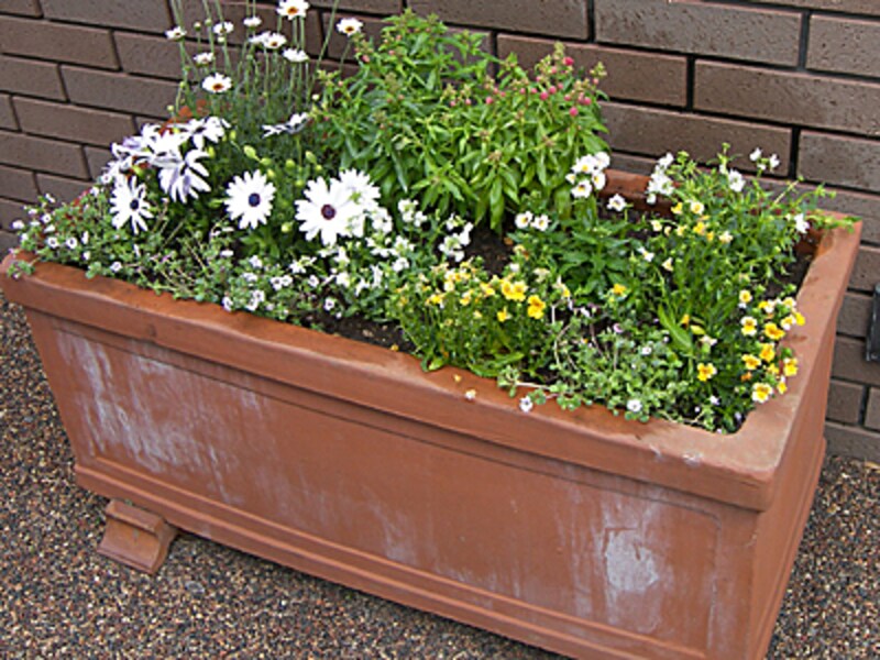 イタリア製テラコッタB