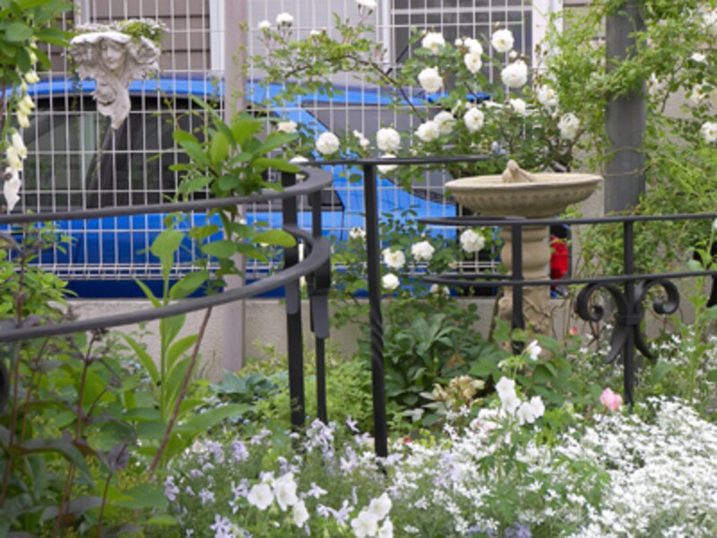 ホワイトガーデン