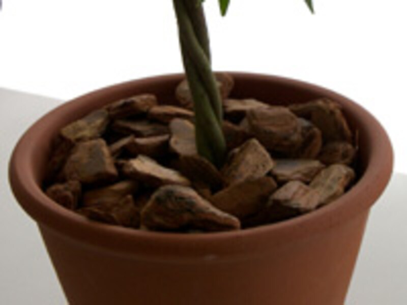 バークチップを載せる