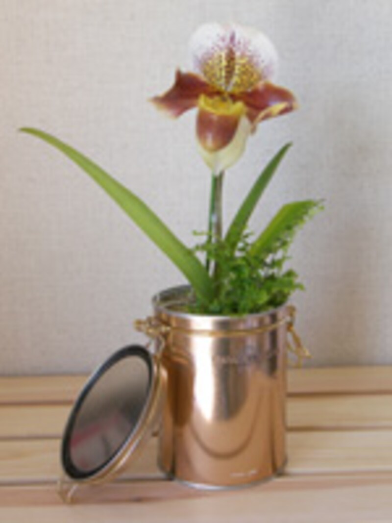 空き缶を利用して