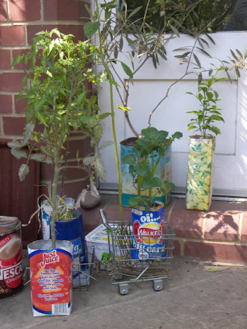 ロンドンのガーデンにて