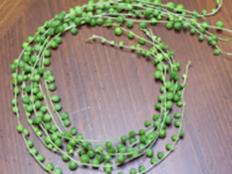 グリーンネックレス