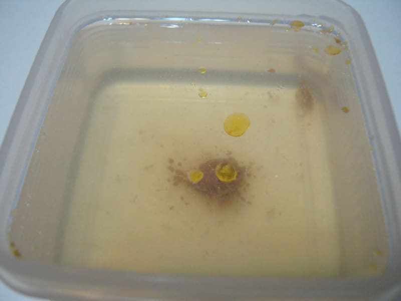 オイルカプセルその後