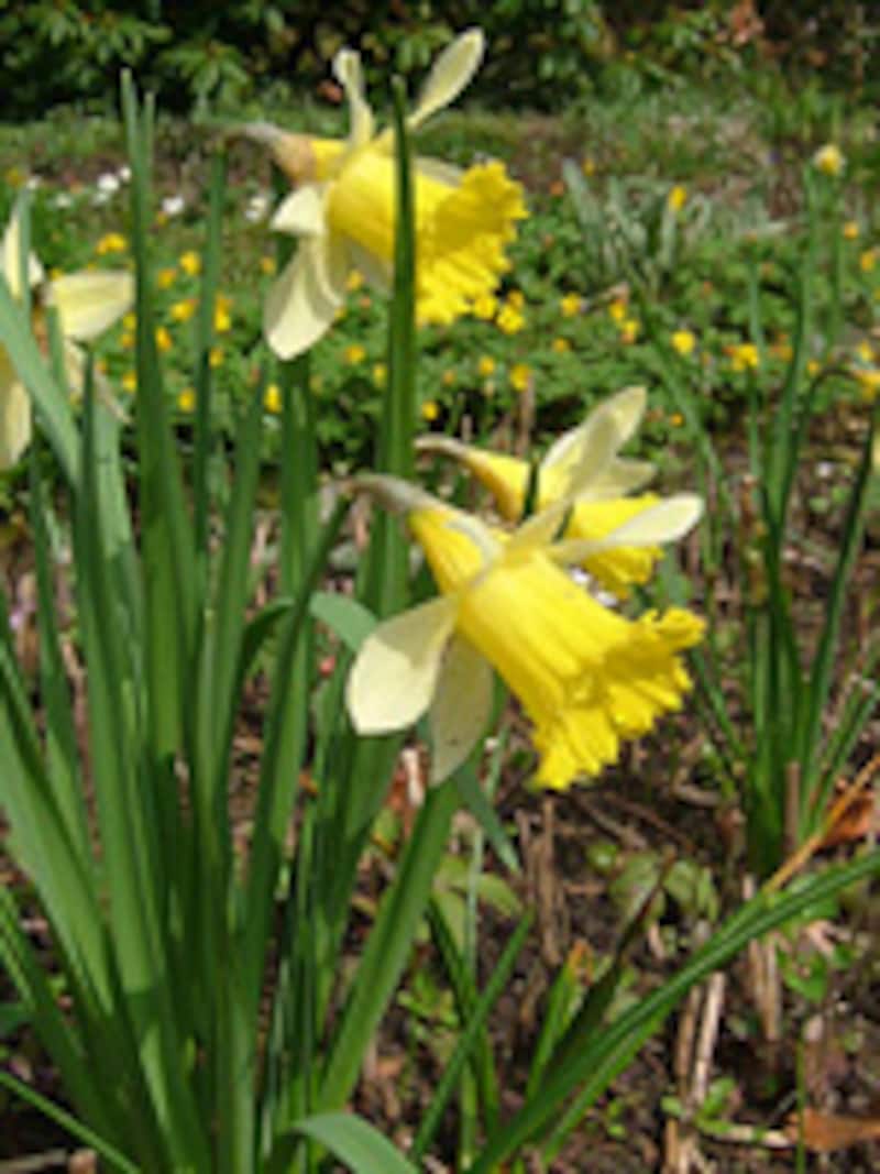 「イースターの鐘」