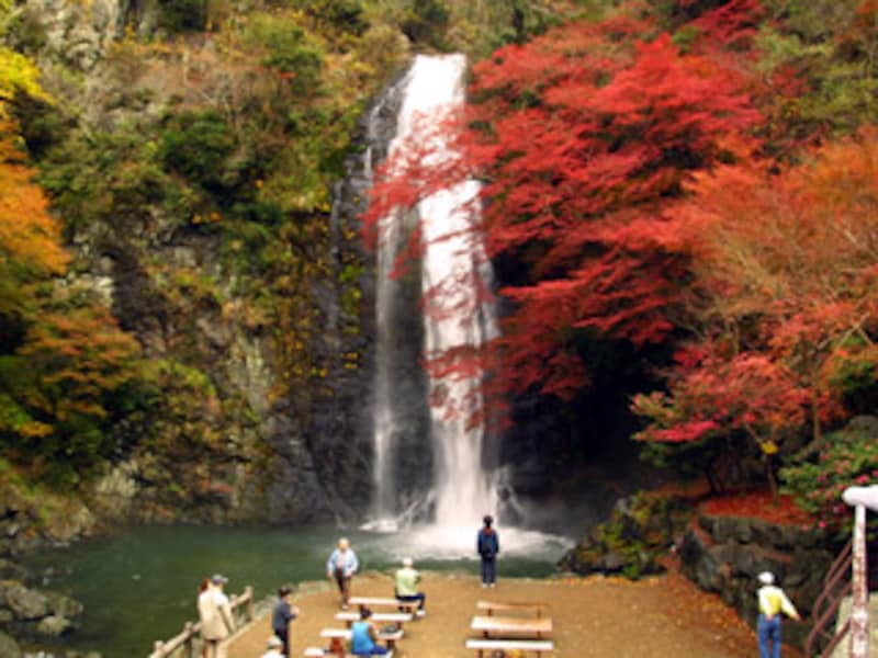 箕面名物 紅葉の天ぷら で紅葉を味わう 大阪の観光 旅行 All About