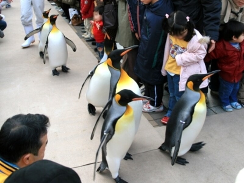 身体を大きく揺らして曲がっていきます。