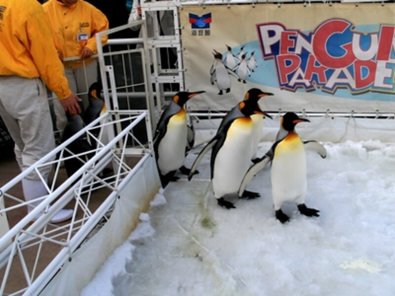 時間にして10分程度のパレードです。