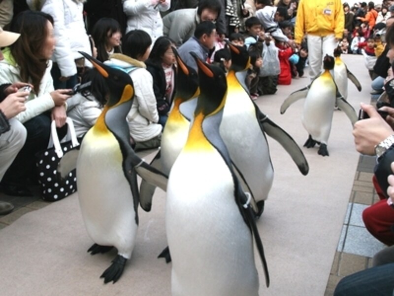 列はバラバラです。