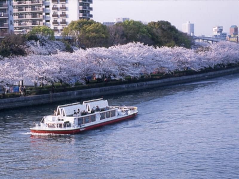 3 3 大阪の花見なら 造幣局の桜の通り抜け 大阪の観光 旅行 All About