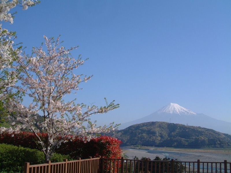 道の駅 富士川楽座から望む富士山（2）