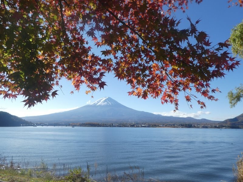 河口湖の北岸から見る富士山（2）
