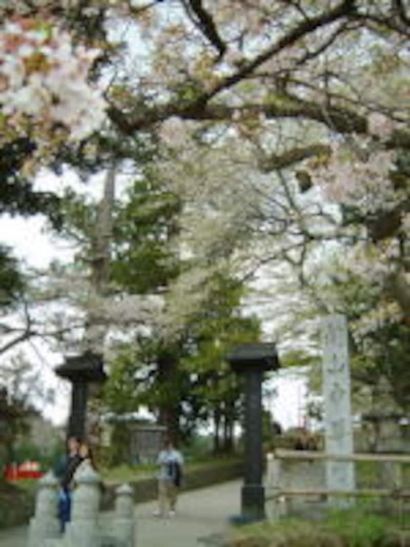 中尊寺境内への入口