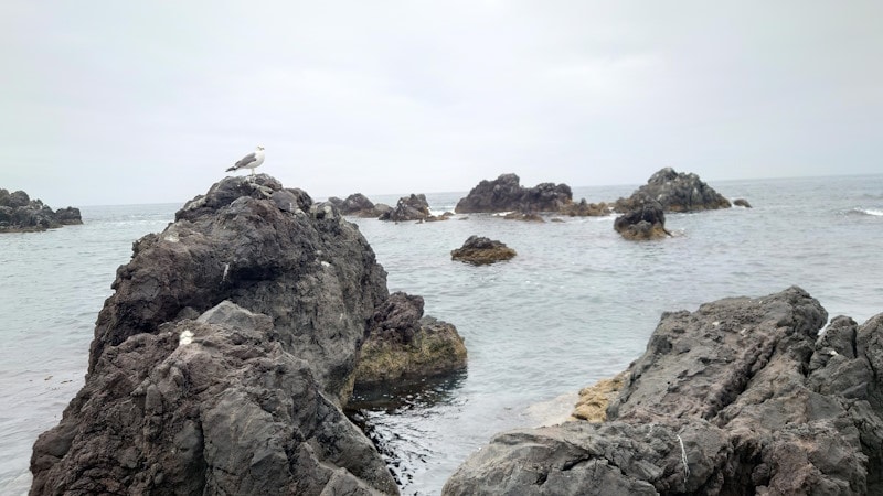 仙法志御崎公園(1)