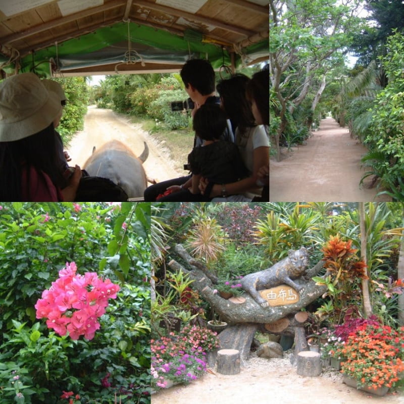 由布島を楽しむ