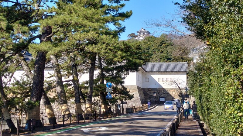いろは松