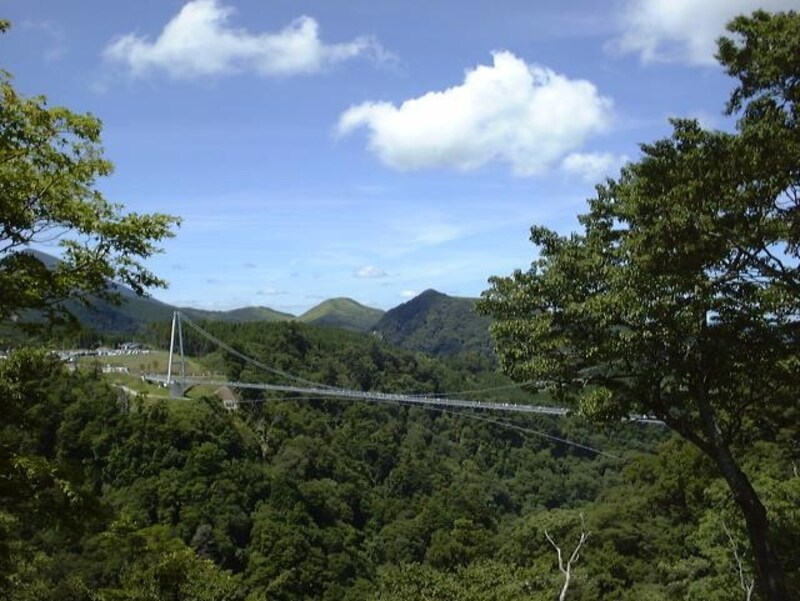 九重"夢"大吊橋(3)
