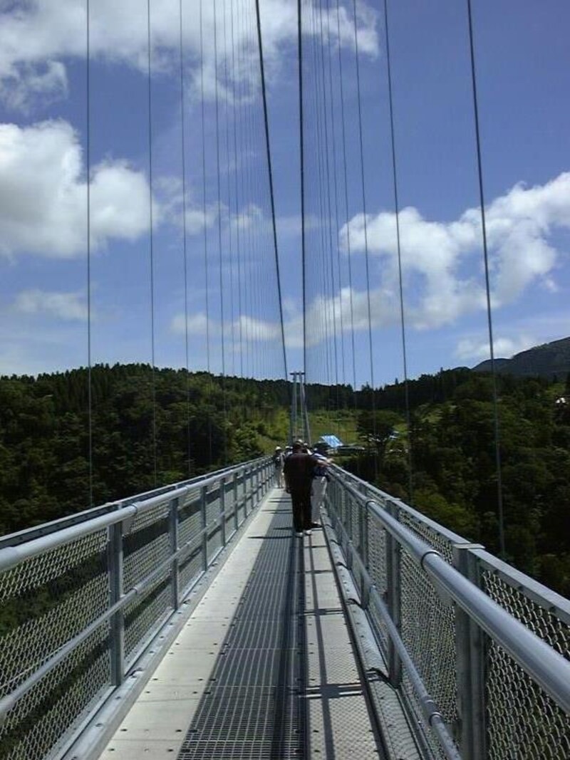 九重"夢"大吊橋(5)