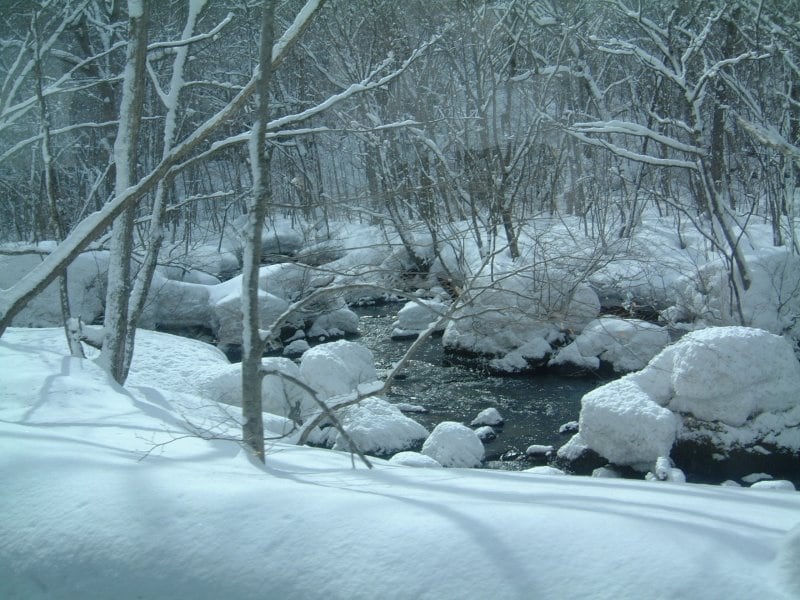 冬の十和田湖・奥入瀬渓流はモノクロームの世界／青森観光情報