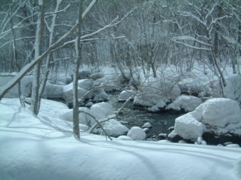 冬の十和田湖 奥入瀬渓流はモノクロームの世界 青森観光情報 名所 旧跡 All About