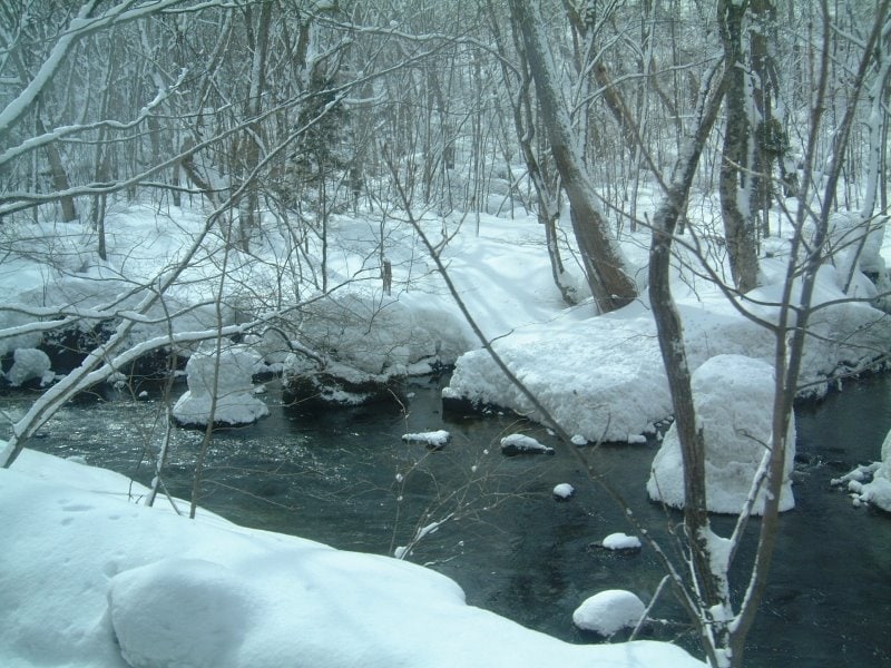 冬の奥入瀬渓流(2)
