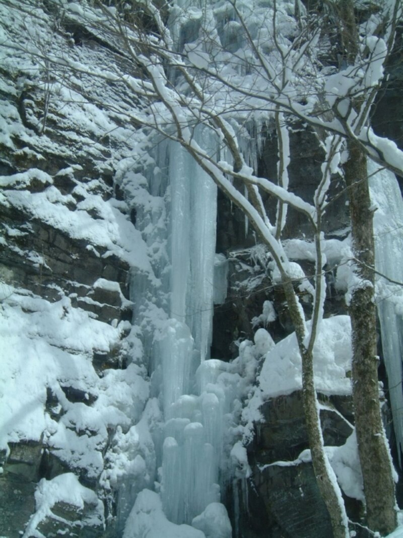 冬の奥入瀬渓流(4)