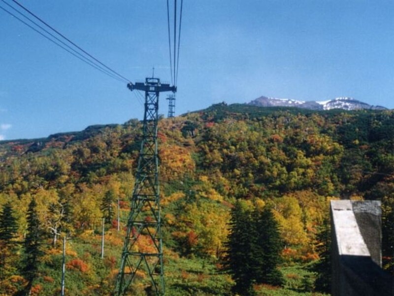 大雪山・旭岳の紅葉・黄葉（1）