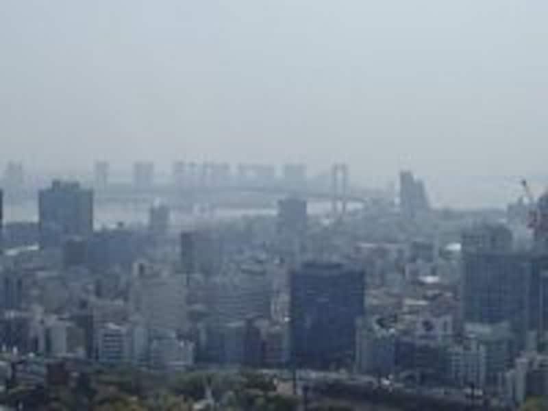東京タワー・大展望台からの眺め（1）／お台場方面