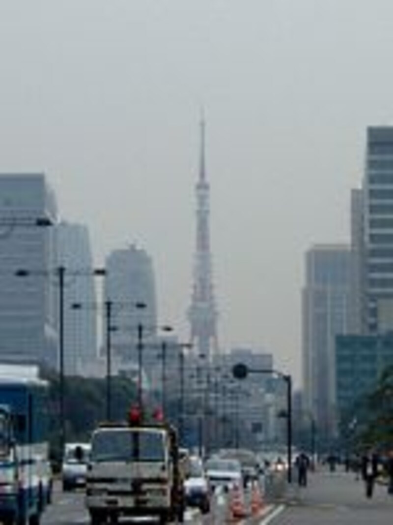 東京タワーを眺める（4）／皇居外苑前より