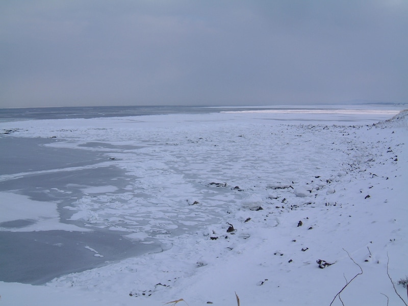 日の出岬から眺める流氷