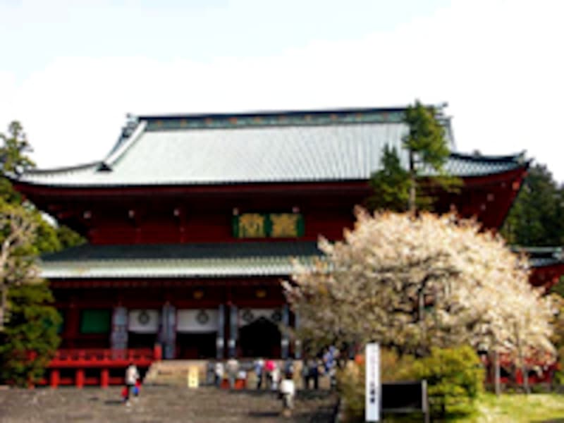 日光山輪王寺と金剛桜