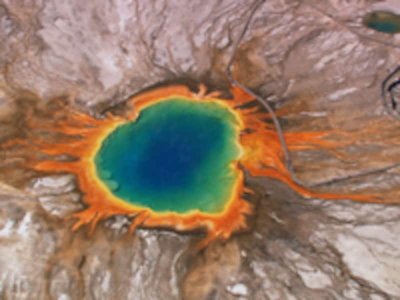 イエローストーン