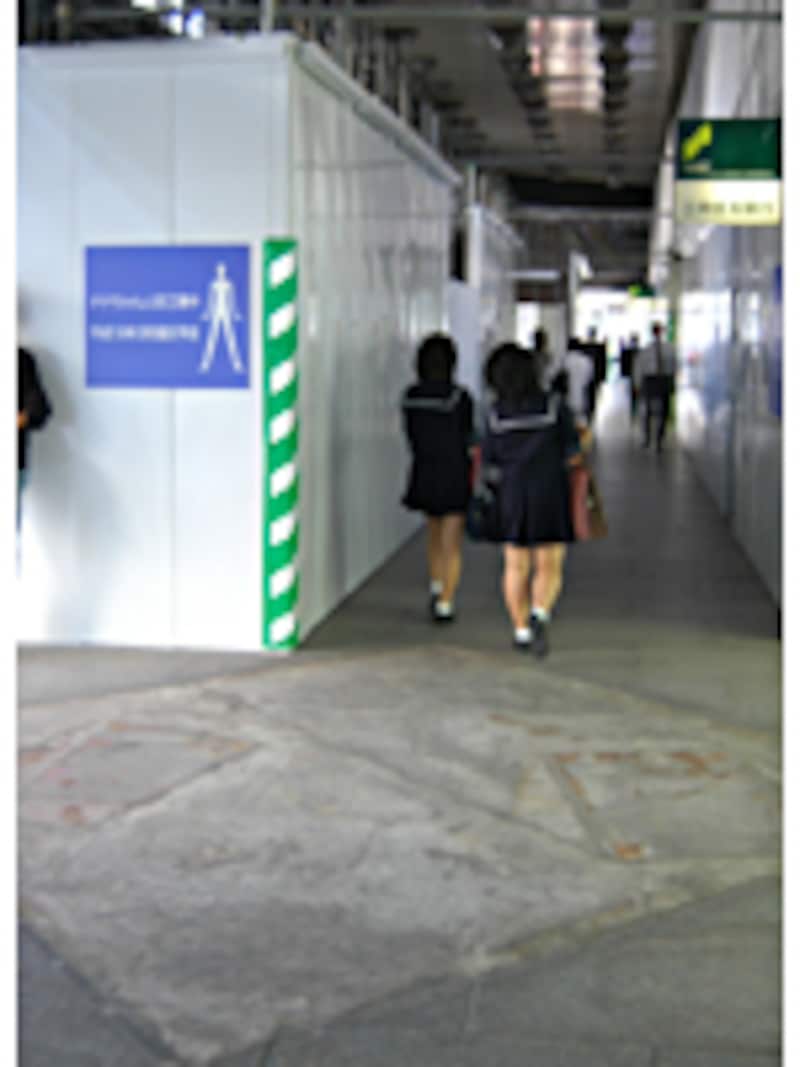 ナナちゃんが消えた!?